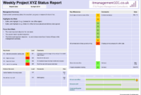 One-Page Project Status Report Template