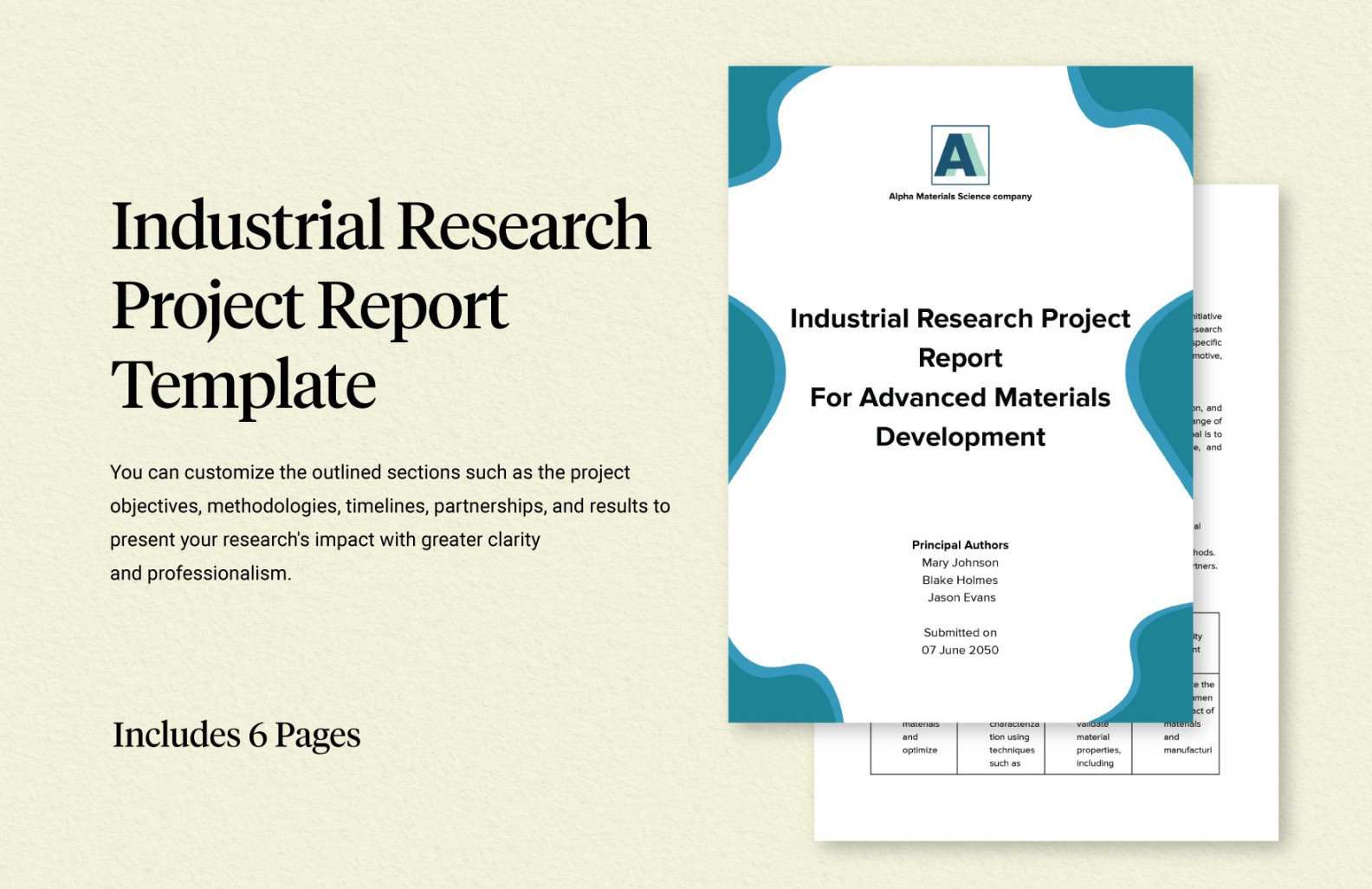 Industrial Research Project Report Template in Word, PDF, Google