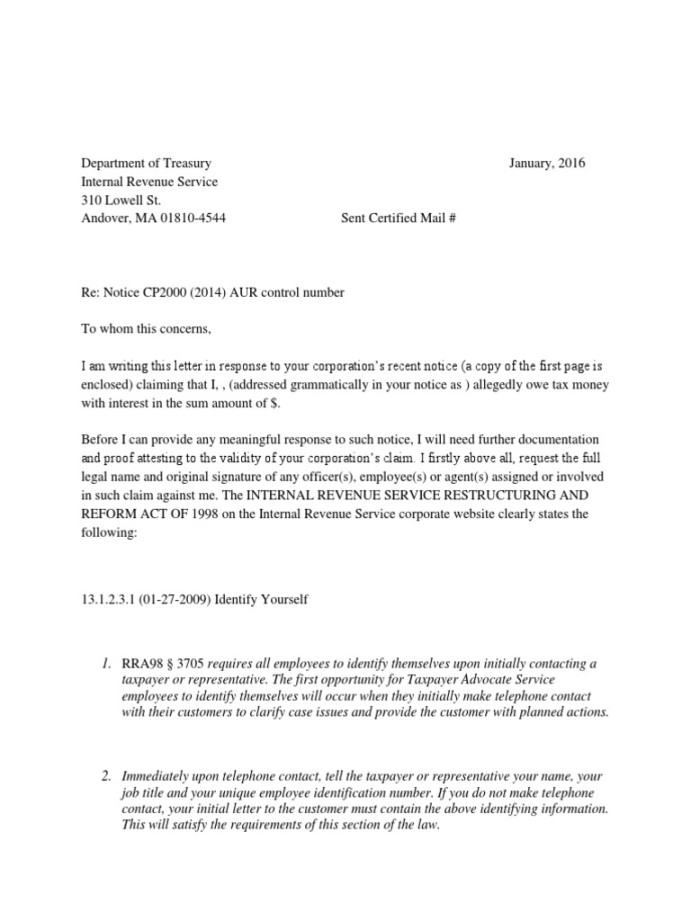 IRS Response Letter Template  PDF  Internal Revenue Service