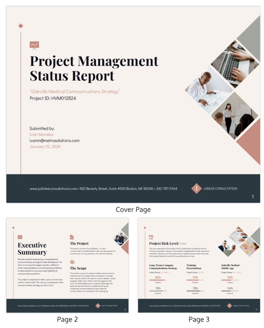 Management Report Template - Venngage