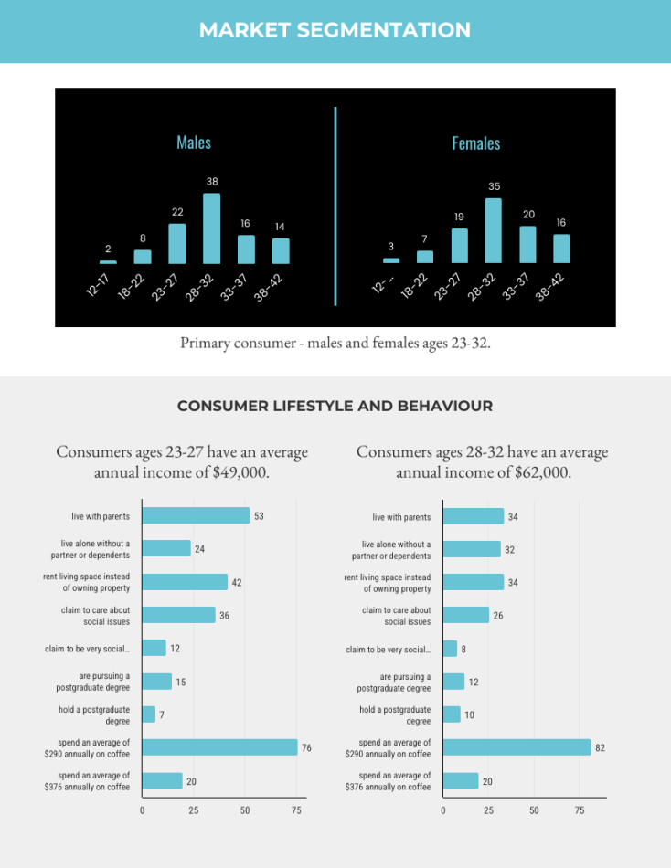 Market Segmentation Report Template - Venngage