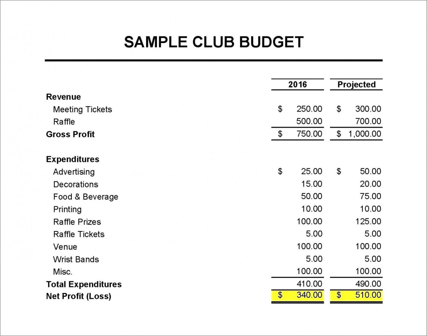 Non Profit Treasurer Report Template