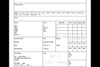 ICU Patient Care Report Template