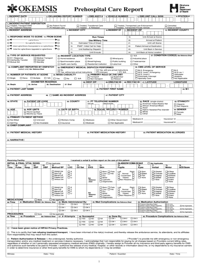 Patient Care Report Examples - Fill Online, Printable, Fillable