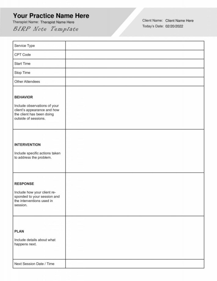 Progress Notes PDF Templates for Mental Health -