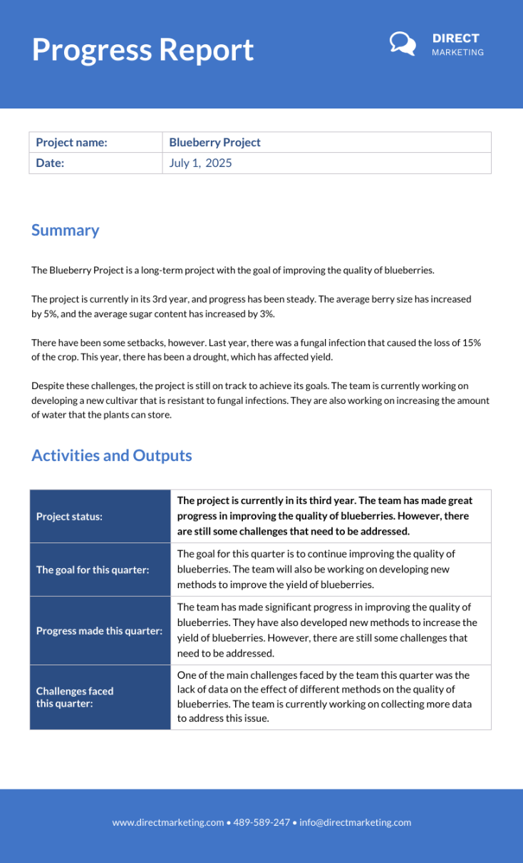 Progress Report Template - Venngage