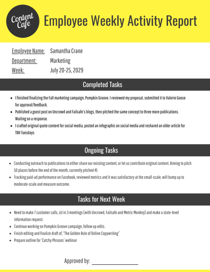 Sample Employee Weekly Activity Report Template - Venngage