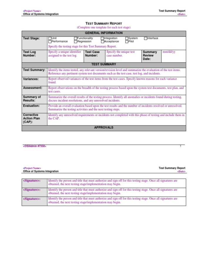 Test Summary Report Template  PDF