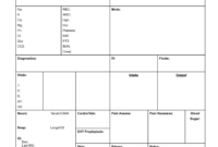 Nursing Assessment Report Sheet Template