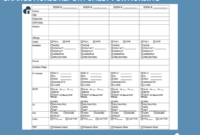 Charge Nurse Daily Shift Report Template