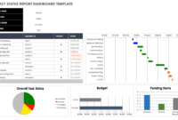 Weekly Test Report Template